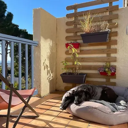 Apartment 9 - Agreable Appartement, Terrasse, Vue Et Parking Bandol